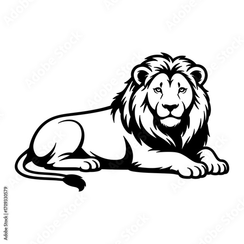 Lion Laying Down