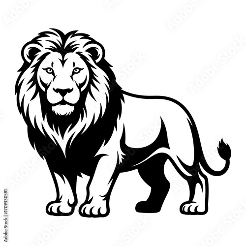 Lion Standing