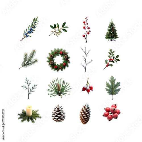 Collection of festive holiday plants, wreaths, and decorations arranged on a white background with copy space
