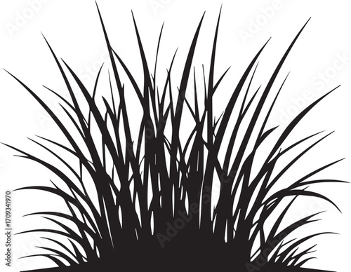 Black silhouette of wild grass blades growing in natural cluster