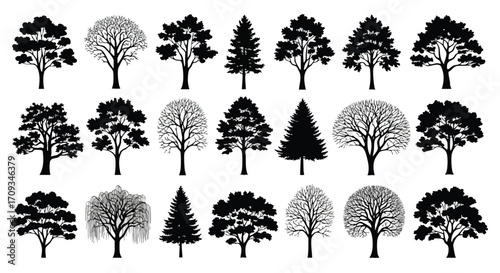 Diverse collection of black tree silhouettes showcasing nature's beauty and variety for design projects