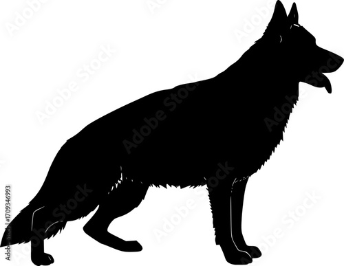 GERMAN SHEPHERD SILHOUETTE
