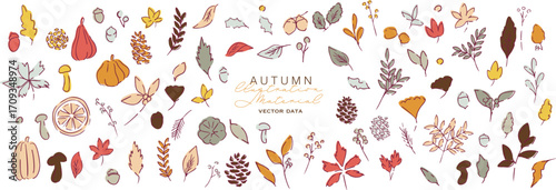 秋の落ち葉と木の実のベクターイラスト。葉っぱの秋植物イラスト。秋の線画背景。Autumn leaves and nuts vector illustration. Autumn plant illustration with leaves. Autumn line art background.