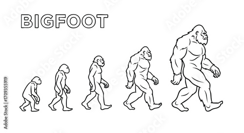 Bigfoot evolution line art showing progression from ape-like creature to powerful bipedal giant