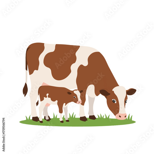 A peaceful 2D flat vector illustration depicts a mother cow and her calf gently grazing together, isolated on a clean white background, symbolizing agriculture and farm life.