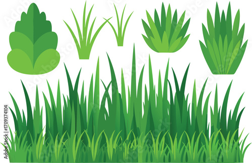 Detailed vector grass and bush bundle scalable illustration for nature scenes