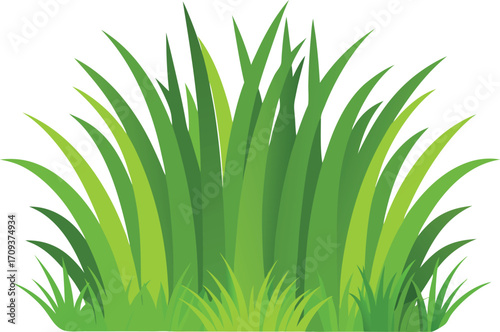Detailed green grass bush bundle vector illustration scalable nature element