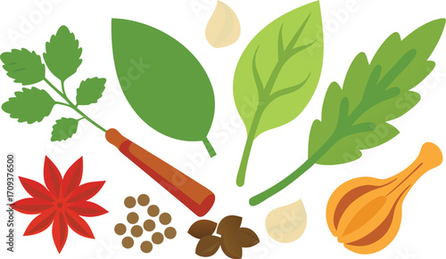 Realistic herb and spice vector bundle scalable illustration for culinary designs