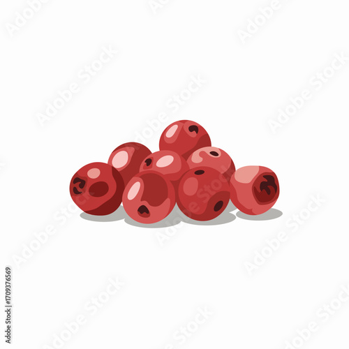 Pink Peppercorns Vector Illustration
