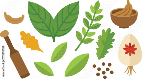 Realistic herb and spice vector bundle for culinary and design projects scalable eps