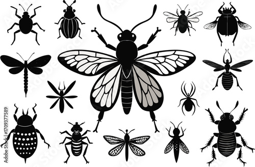 Detailed vector insect pack 150 beetles bees and other creatures scalable illustration