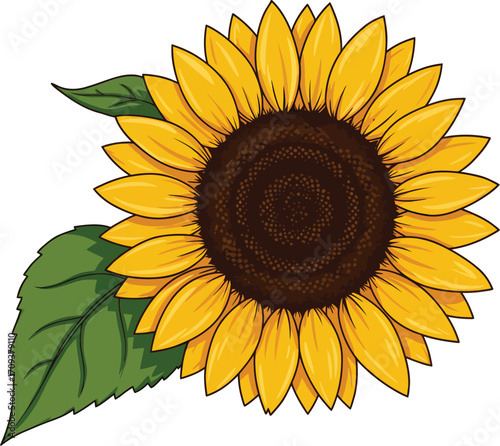 Vibrant Sunflower Bloom with Two Green Leaves