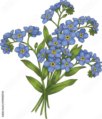 A Gentle Bouquet of Blue Forget Me Not Flowers with Green Stems