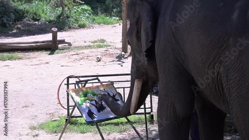 Elephant doing a painting on paper in front of tourists at Chiang Mai, Thailand.