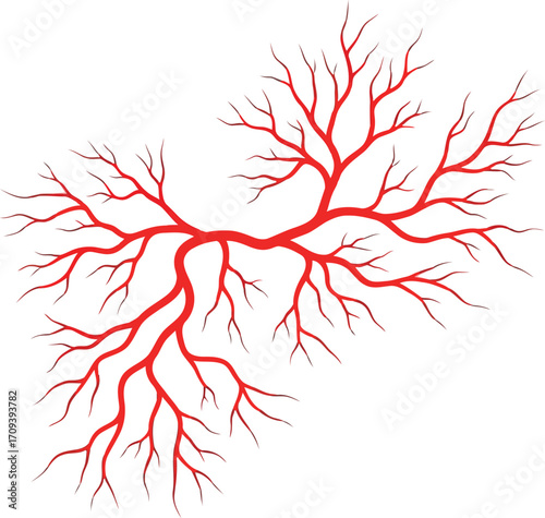 Vibrant red branching veins microscopic network abstract art vector