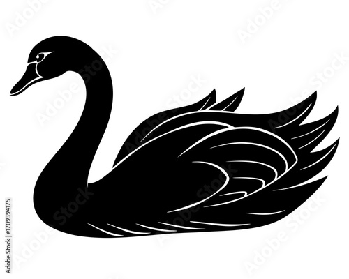 Swan swimming silhouette illustration  