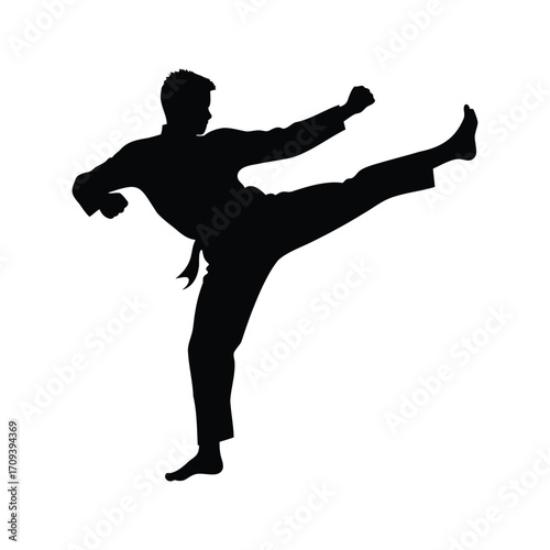 A striking silhouette of a karate expert executing a powerful kick technique, martial artist doing roundhouse kick silhouette vector illustration
