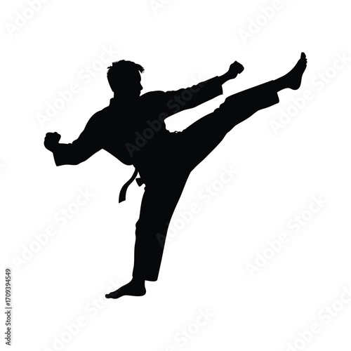 Silhouette of Karate Practitioner Executing a Dynamic Front Kick with Precision, martial artist performing kick silhouette vector illustration