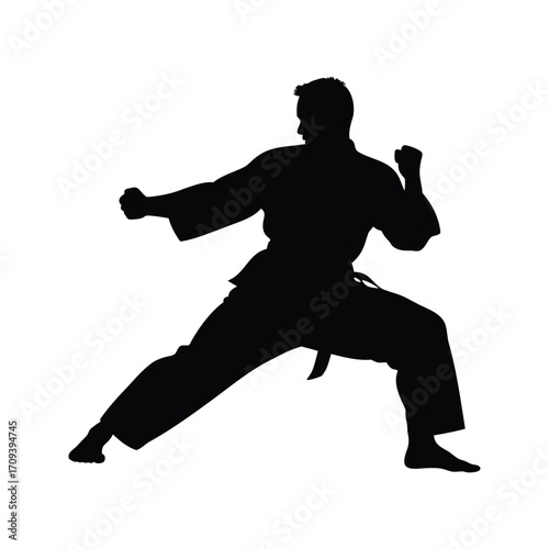 Silhouette of a karate practitioner in a fighting stance with black belt, martial artist sparring silhouette vector illustration