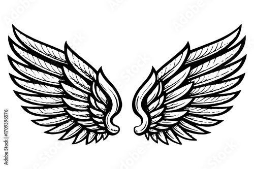 Vector Angel Wings Illustration – Symmetrical Feathered Wing Design for Tattoos and Logos	
