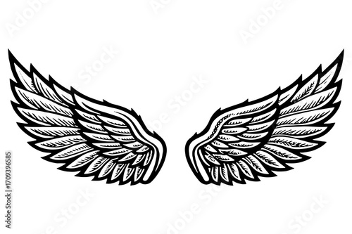 Vector Angel Wings Illustration – Symmetrical Feathered Wing Design for Tattoos and Logos	
