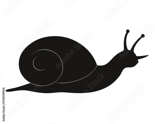 Snail crawling silhouette illustration 