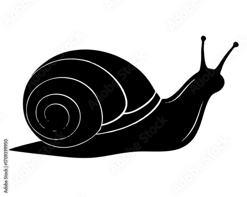 Snail crawling silhouette illustration isolated on white background
