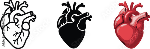 Human heart illustration set, anatomical line drawing, silhouette, realistic red heart, arteries and veins, medical graphic, stylized organ artwork