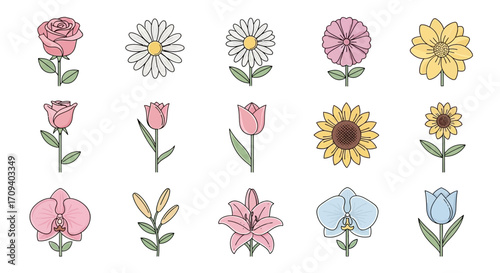Flat lay illustration of various flowers; roses, daisies, tulips, lilies, sunflowers, orchids; pastel color palette; simple line art style; clean white background.