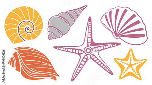 Collection of colorful stylized seashells and starfish illustrations