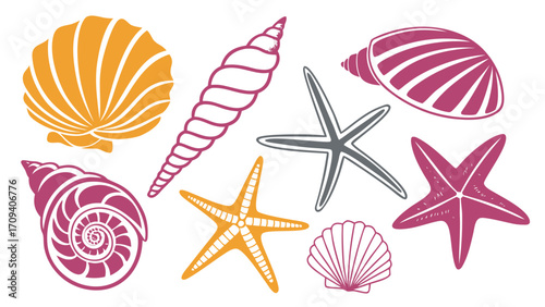 Collection of colorful seashells and starfishes on white background