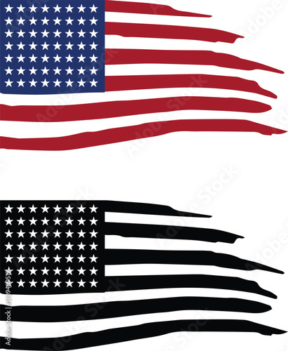  usa flag icon
