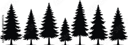 Art & IllustrationSilhouette of pine trees, evergreen forest illustration, black spruce tree set on white background, nature landscape graphic, vector art