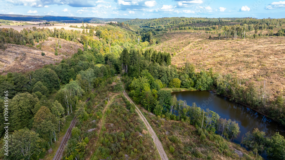 Fototapeta premium Waldsee Ellerteich am Selketalstieg im Harz Harzgerode
