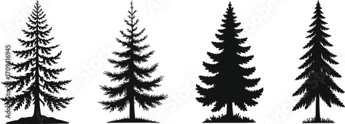 Silhouette of pine trees, evergreen forest illustration, black fir tree set, nature clipart, Christmas tree graphic, vector art