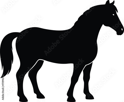Clydesdale Horse Black Silhouette Vector Illustration. Minimalist Clydesdale Horse Vector Icon