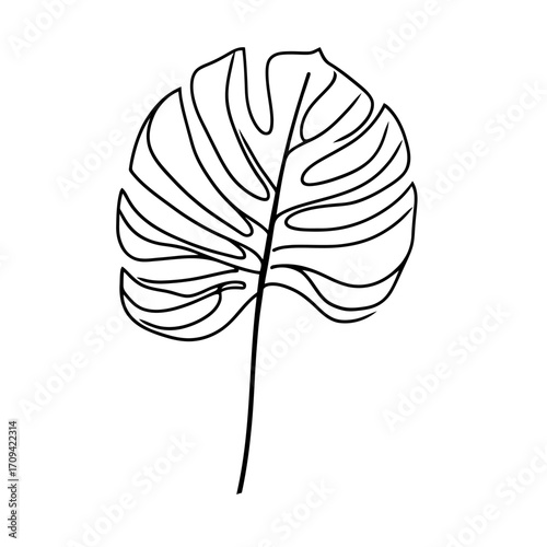 Minimalist continuous line drawing of monstera deliciosa tropical leaf with detailed split pattern and long stem on white background vector illustration