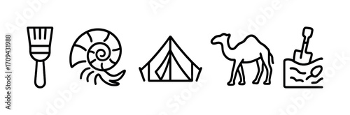 Archaeology tools and symbols: brush, fossil, tent, camel, dig site icons