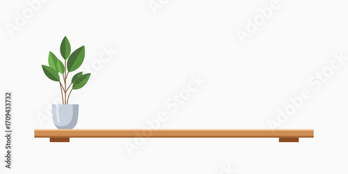 Plant on shelf, a simple home decor element