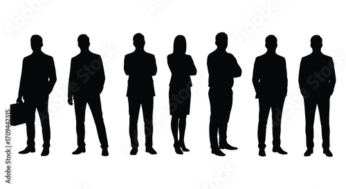 Group of business professionals in silhouette standing in a row formation