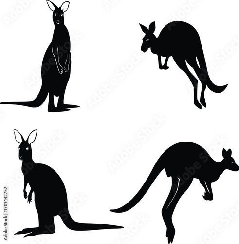 kangaroo silhouette