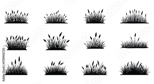 Black and white illustration of various clumps of tall grasses and reeds
