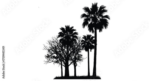 Silhouette of several palm trees and a bare tree against a white background