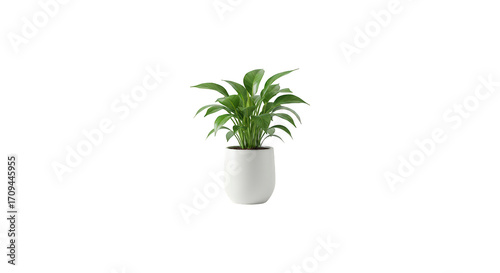 Healthy Green Potted Plant with Dark Leaves and Yellow Specks in a White Container