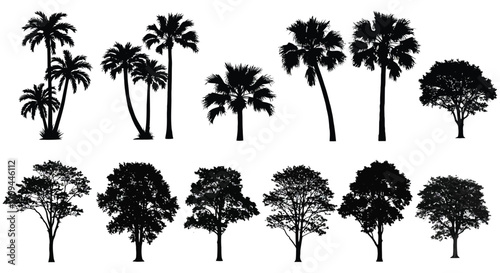 Collection of tropical palm trees and various leafy silhouettes isolated