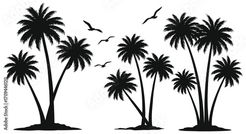 Silhouetted palm trees and flying birds against a bright white backdrop