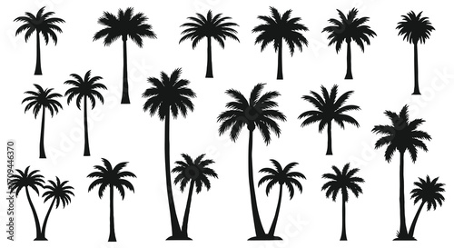A collection of silhouetted palm trees against a plain white background