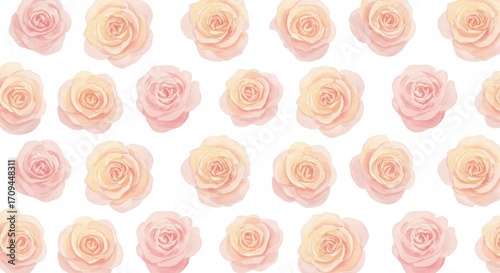 Watercolor Rose Pattern: Soft Pink and Peach Floral Design.