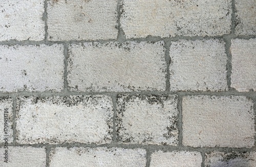 white brick wall