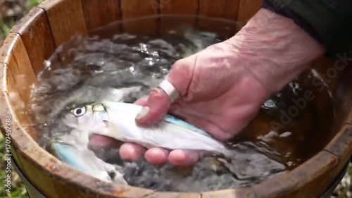 Freshly Caught Fish in Wooden Bucket